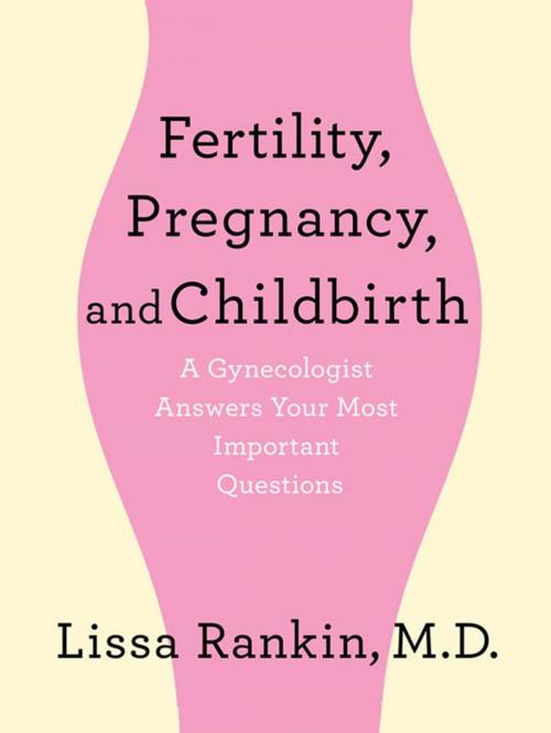 Cover of the book Fertility, Pregnancy, and Childbirth: A Gynecologist Answers Your Most Important Questions by Lissa Rankin, MD, St. Martin's Press