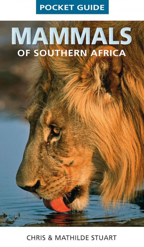 Cover of the book Pocket Guide Mammals of Southern Africa by Chris Stuart, Random House Struik