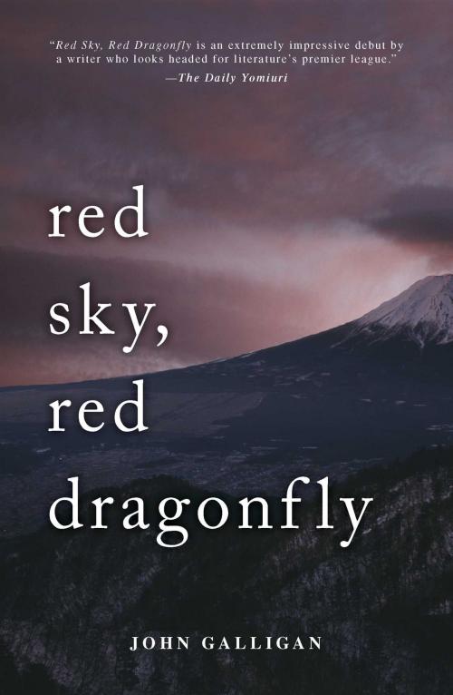 Cover of the book Red Sky, Red Dragonfly by John Galligan, Gallery Books