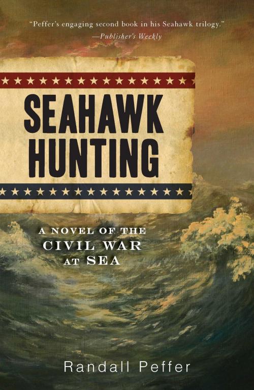 Cover of the book Seahawk Hunting by Randall Peffer, Gallery Books