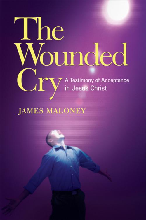 Cover of the book The Wounded Cry by Answering the Cry Publications, WestBow Press