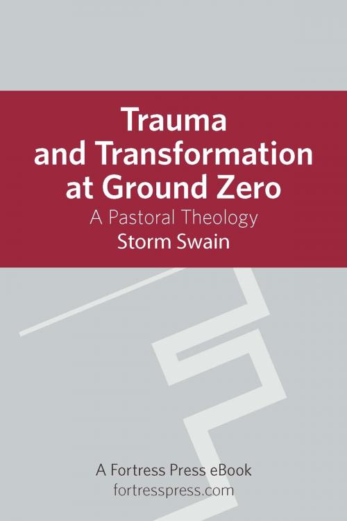 Cover of the book Trauma and Transformation at Ground Zero by Storm Swain, Fortress Press
