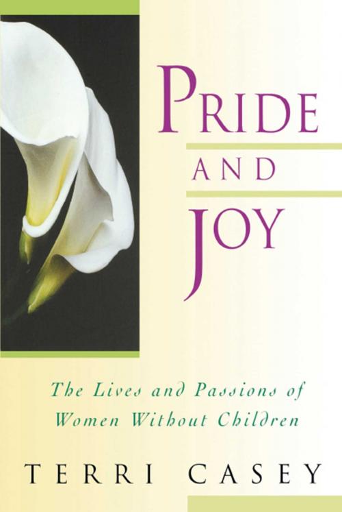 Cover of the book Pride And Joy by Terri Casey, Atria Books/Beyond Words