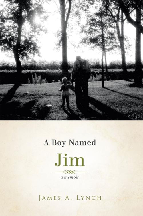 Cover of the book A Boy Named Jim by James A. Lynch, Abbott Press