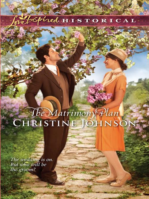 Cover of the book The Matrimony Plan by Christine Johnson, Harlequin