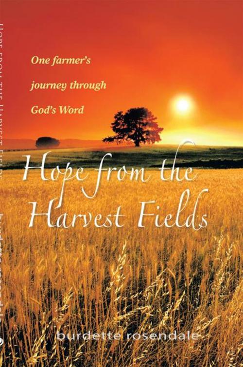 Cover of the book Hope from the Harvest Fields by Burdette Rosendale, iUniverse