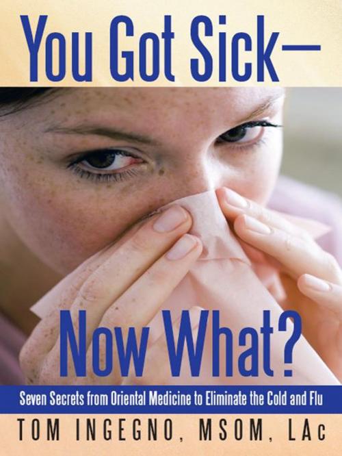 Cover of the book You Got Sick—Now What? by Tom Ingegno, iUniverse