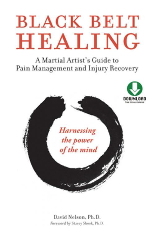 Cover of the book Black Belt Healing by David Nelson Ph.D., Tuttle Publishing