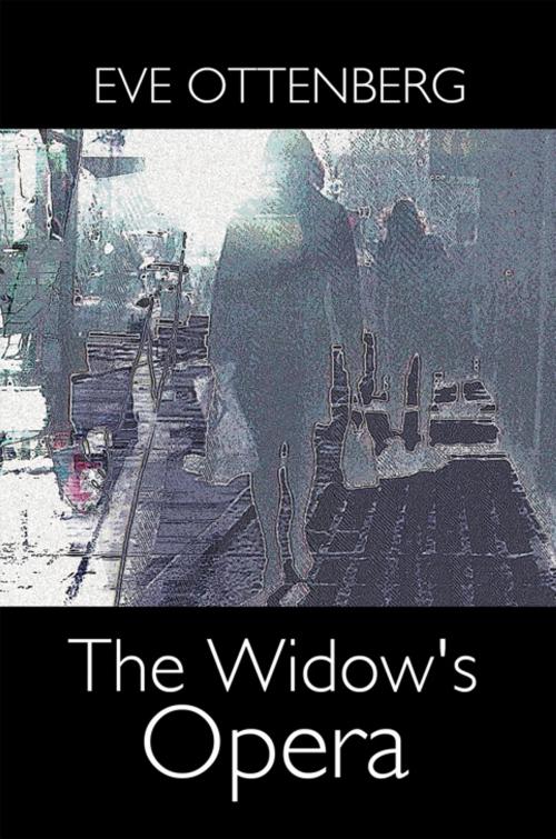 Cover of the book The Widow's Opera by Eve Ottenberg, AuthorHouse