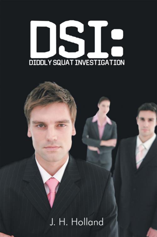 Cover of the book Dsi: Diddly Squat Investigation by J. H. Holland, AuthorHouse