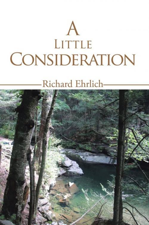 Cover of the book A Little Consideration by Richard Ehrlich, AuthorHouse