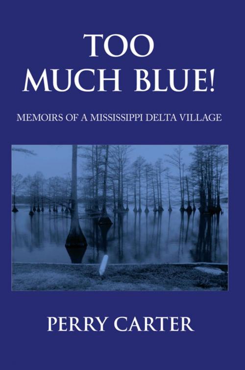 Cover of the book Too Much Blue! by Perry Carter, AuthorHouse