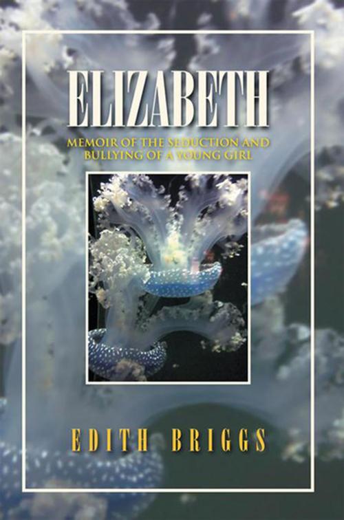Cover of the book Elizabeth by Edith Briggs, Xlibris US