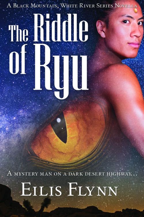 Cover of the book The Riddle of Ryu by Eilis Flynn, Eilis Flynn