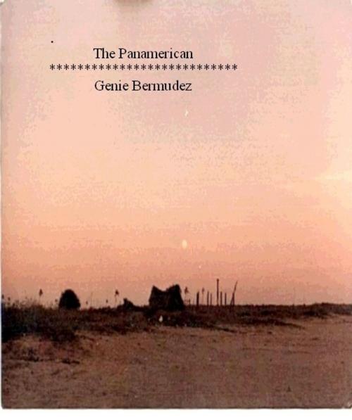 Cover of the book The Panmerican by Genie Bermudez, Genie Bermudez