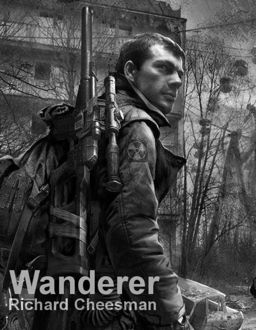 Cover of the book Wanderer by Richard Cheesman, Richard Cheesman