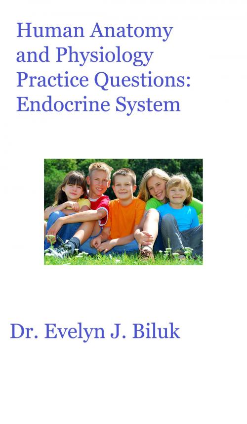 Cover of the book Human Anatomy and Physiology Practice Questions: Endocrine System by Dr. Evelyn J Biluk, Dr. Evelyn J Biluk