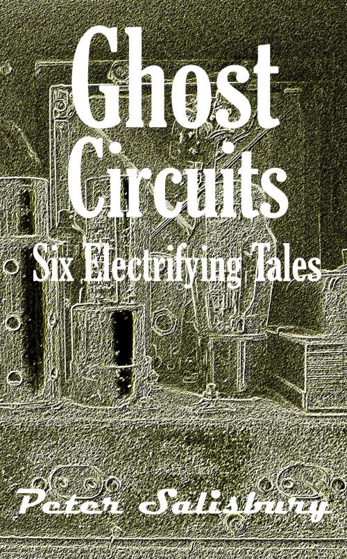 Cover of the book Ghost Circuits by Peter Salisbury, Peter Salisbury