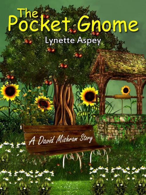 Cover of the book The Pocket Gnome by Lynette Aspey, Lynette Aspey