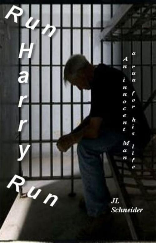 Cover of the book Run Harry Run by JL Schneider, JL Schneider