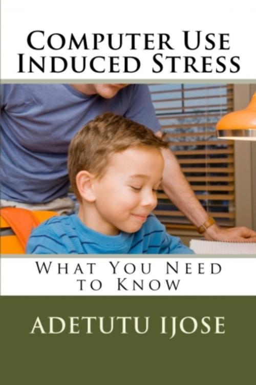 Cover of the book Computer Use Induced Stress by Adetutu Ijose, Adetutu Ijose