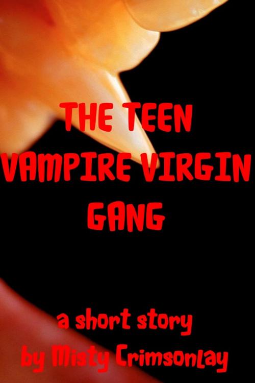 Cover of the book The Teen Vampire Virgin Gang by Misty Crimsonlay, Misty Crimsonlay