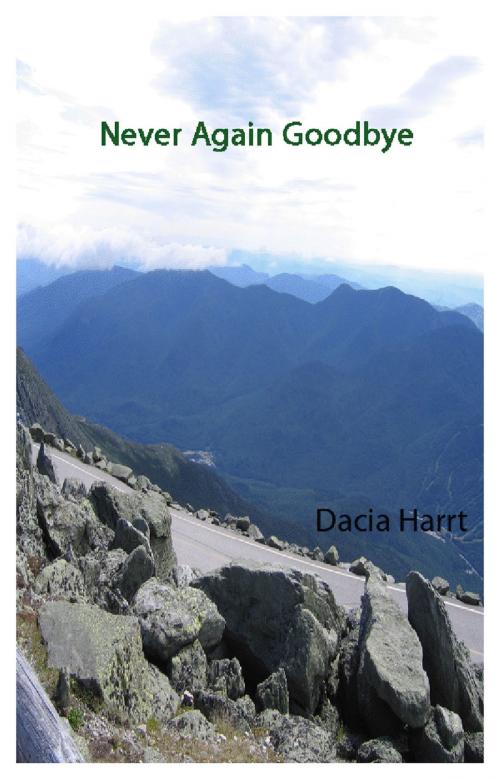 Cover of the book Never Again Goodbye by Dacia Harrt, Dacia Harrt