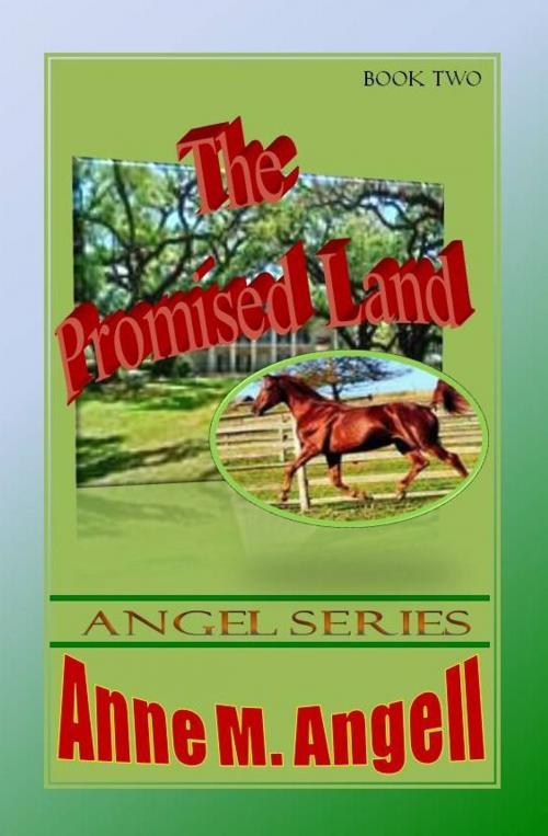 Cover of the book The Promised Land by Anne M Angell, Anne M Angell