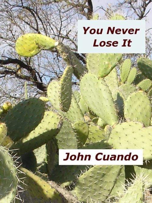 Cover of the book You Never Lose It by John Cuando, John Cuando