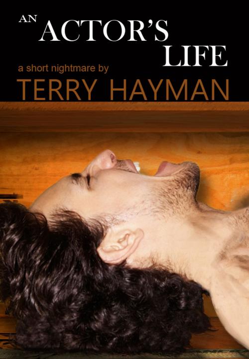 Cover of the book An Actor's Life by Terry Hayman, Fiero Publishing