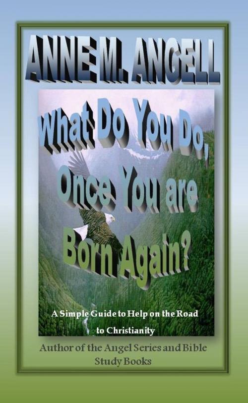 Cover of the book What Do You Do, Once You Are Born Again? by Anne M Angell, Anne M Angell