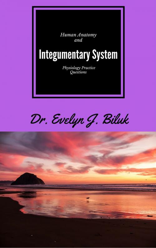 Cover of the book Human Anatomy and Physiology Practice Questions: Integumentary System by Dr. Evelyn J Biluk, Dr. Evelyn J Biluk