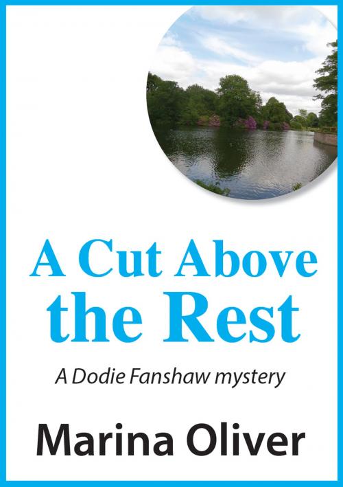 Cover of the book A Cut Above the Rest by Marina Oliver, Marina Oliver