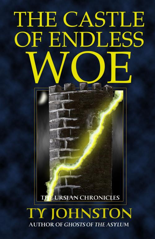 Cover of the book The Castle of Endless Woe by Ty Johnston, Ty Johnston
