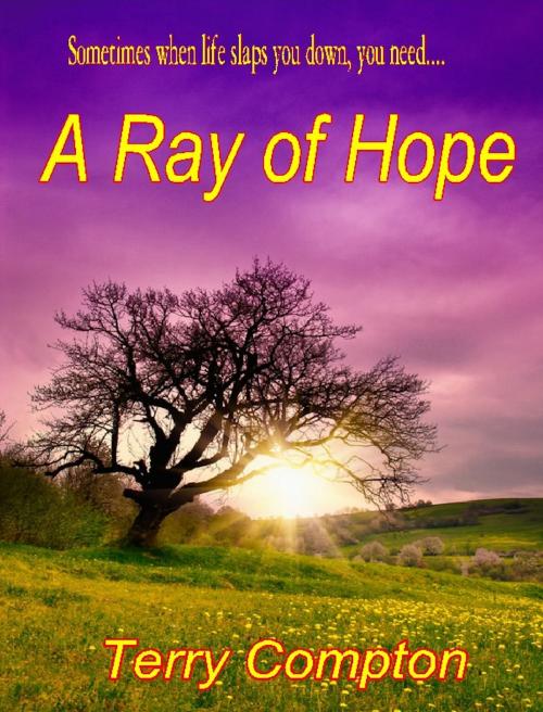 Cover of the book A Ray of Hope by Terry Compton, Terry Compton