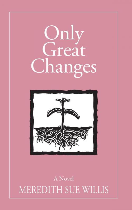 Cover of the book Only Great Changes by Meredith Sue Willis, Hamilton  Stone