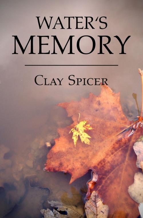 Cover of the book Water's Memory by Clay Spicer, Clay Spicer
