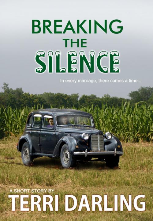 Cover of the book Breaking the Silence by Terri Darling, Fiero Publishing