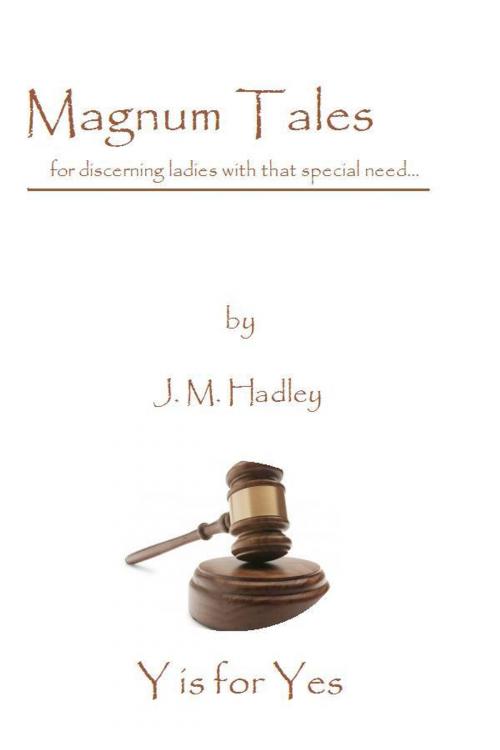 Cover of the book Magnum Tales ~ Y is for Yes by J.M. Hadley, J.M. Hadley