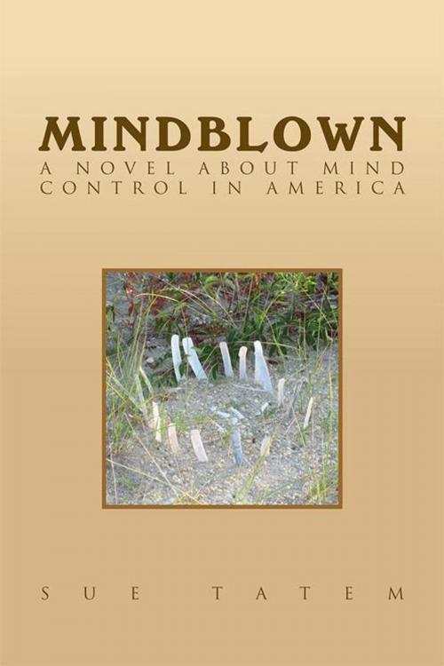 Cover of the book Mindblown by Sue Tatem, Xlibris US