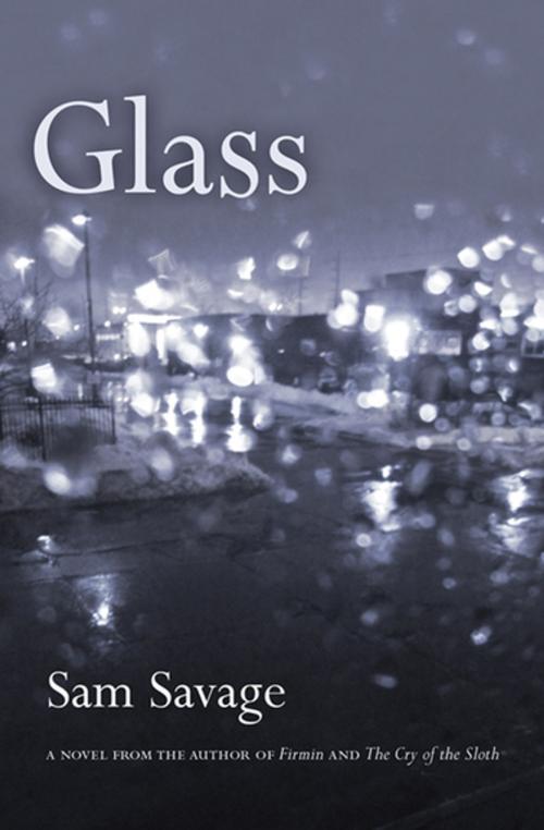Cover of the book Glass by Sam Savage, Coffee House Press