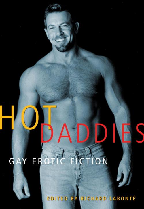 Cover of the book Hot Daddies by , Cleis Press
