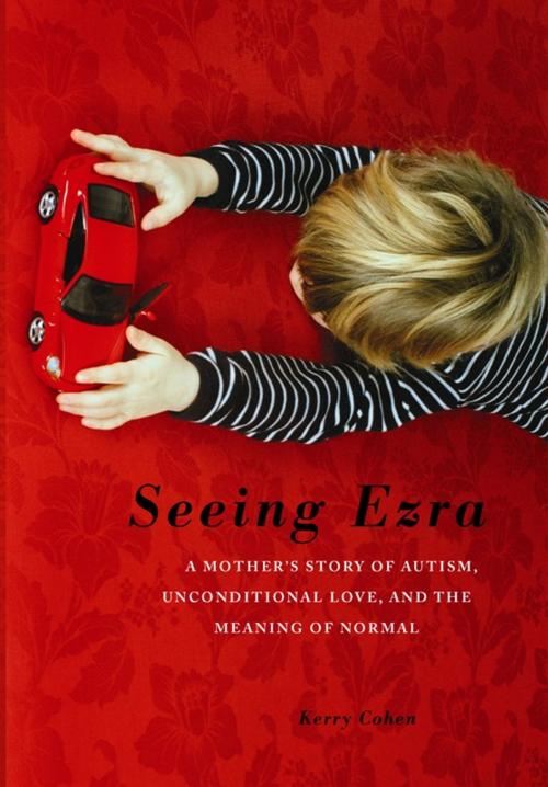 Cover of the book Seeing Ezra by Kerry Cohen, Basic Books