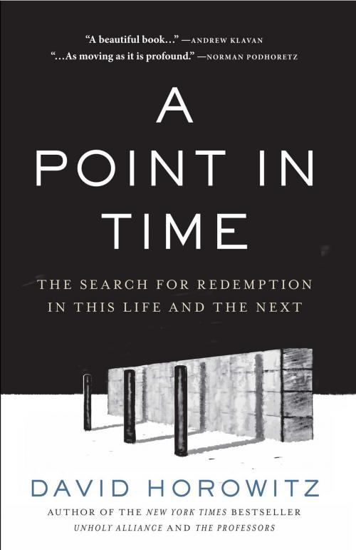 Cover of the book A Point in Time by David Horowitz, Regnery Publishing