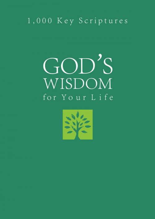 Cover of the book God's Wisdom for Your Life by Pamela L. McQuade, Barbour Publishing, Inc.