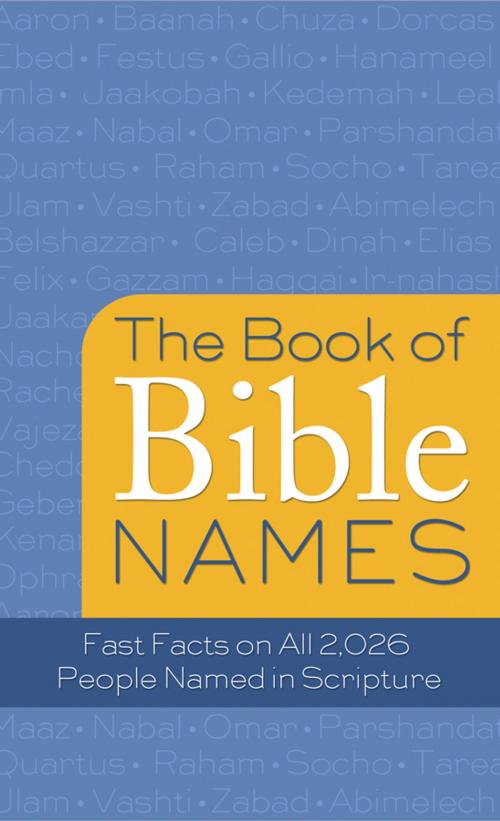 Cover of the book The Book of Bible Names by Pamela L. McQuade, Barbour Publishing, Inc.