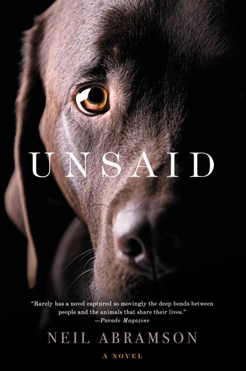 Cover of the book Unsaid by Neil Abramson, Center Street