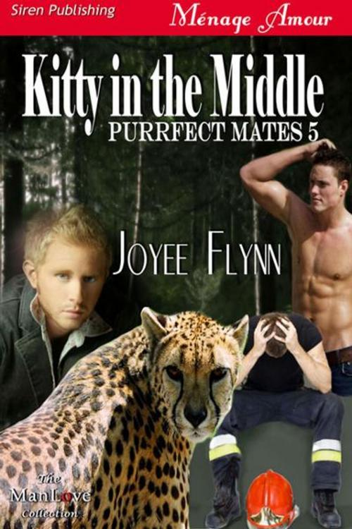 Cover of the book Kitty in the Middle by Joyee Flynn, SirenBookStrand