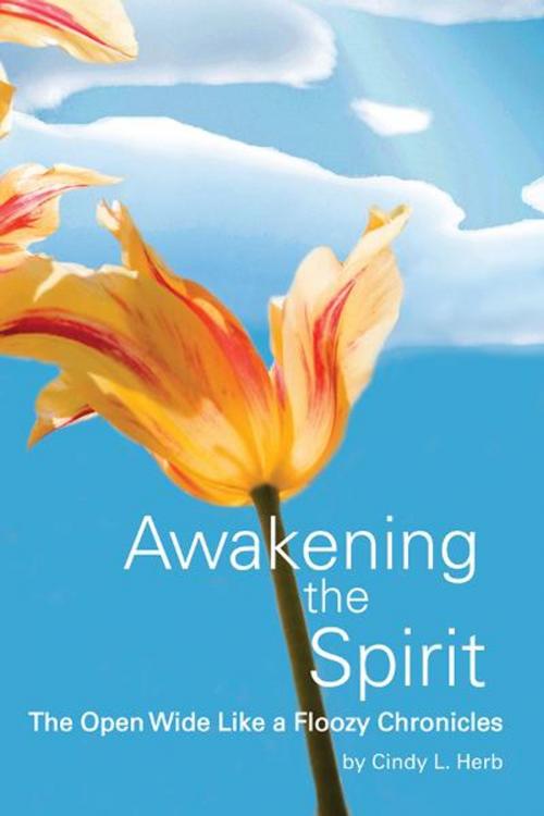 Cover of the book Awakening the Spirit by Cindy L. Herb, The Small Press
