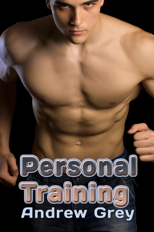 Cover of the book Personal Training by Andrew Grey, Dreamspinner Press